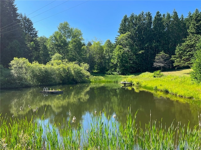 property view of water