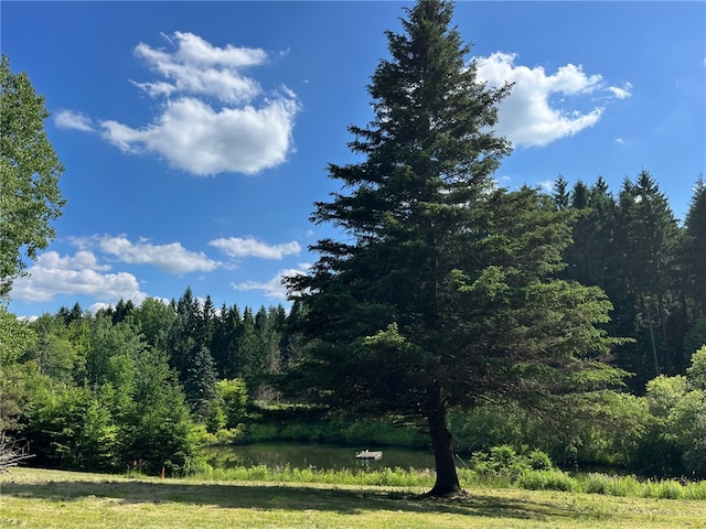 view of landscape