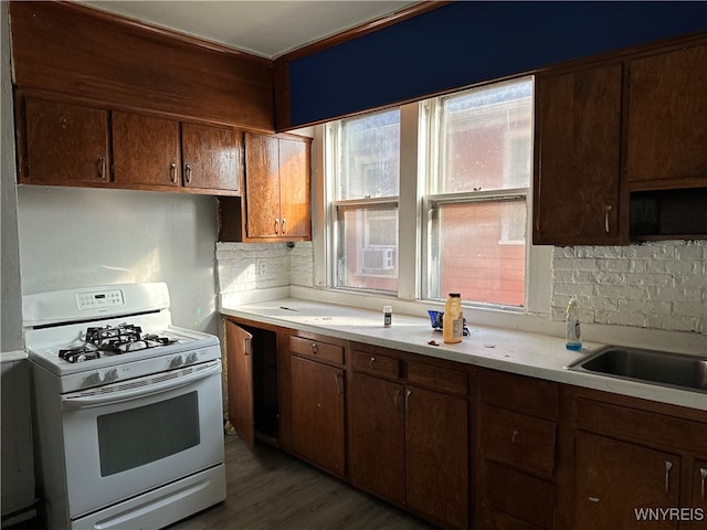 kitchen featuring decorative backsplash, sink, dark hardwood / wood-style floors, and white gas range oven