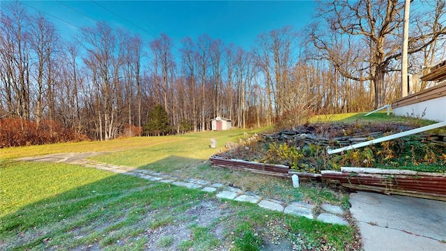 view of yard featuring a shed