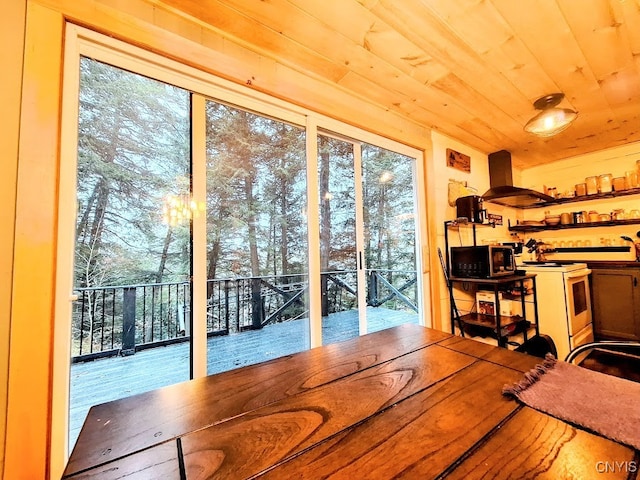 dining room featuring a wealth of natural light