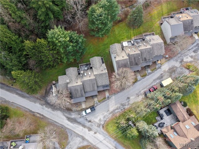 3 Creekside Vlg, Ellicottville, NY 14731 - photo 39