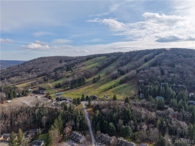 3 Creekside Vlg, Ellicottville, NY 14731 - photo 41
