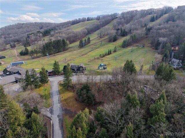 3 Creekside Vlg, Ellicottville, NY 14731 - photo 42