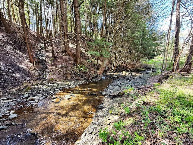 3 Creekside Vlg, Ellicottville, NY 14731 - photo 49