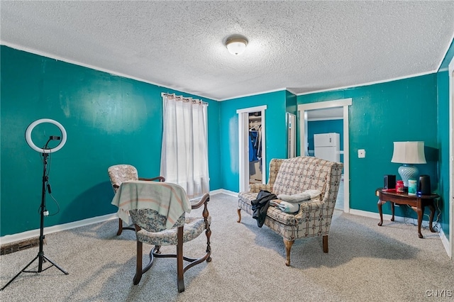 interior space featuring carpet floors and a textured ceiling