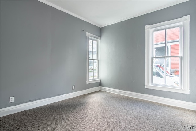 spare room with carpet flooring, ornamental molding, and a healthy amount of sunlight