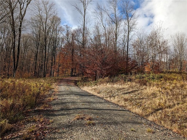 214 Larchwood Ln, Laurens, NY 13796