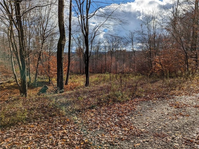 214 Larchwood Ln, Laurens, NY 13796