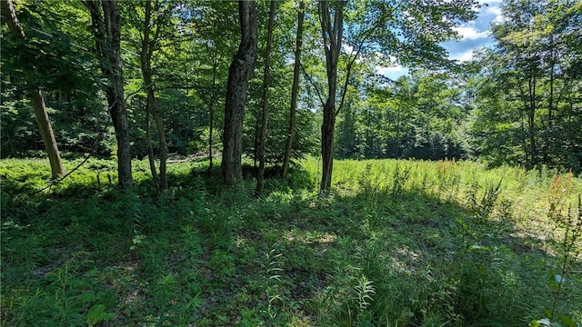 214 Larchwood Ln, Laurens, NY 13796
