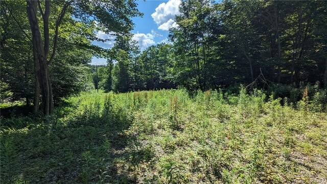 214 Larchwood Ln, Laurens, NY 13796