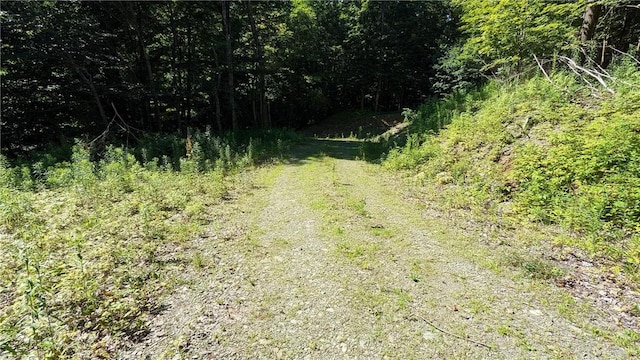214 Larchwood Ln, Laurens, NY 13796