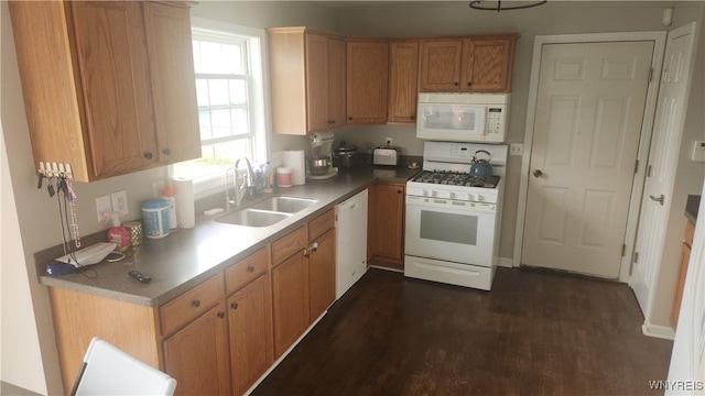 kitchen featuring dark hardwood / wood-style flooring, sink, and white appliances