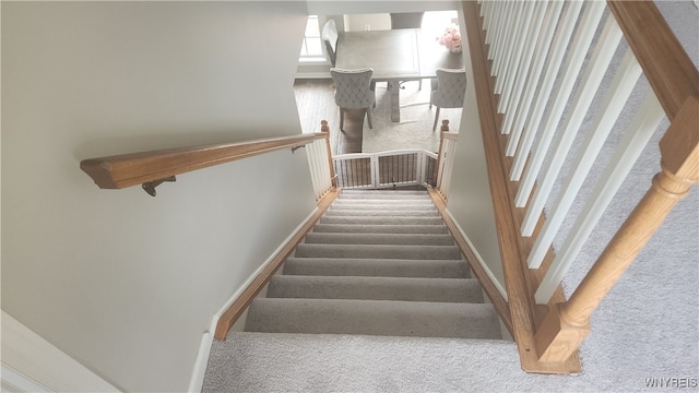 staircase with carpet floors