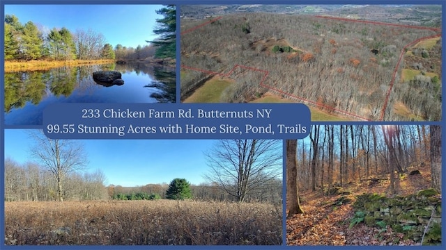 233 Chicken Farm Rd, Butternuts NY, 13776 land for sale