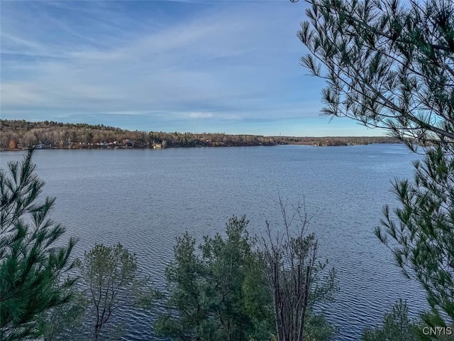Sweet Point Rd, Theresa, NY 13679