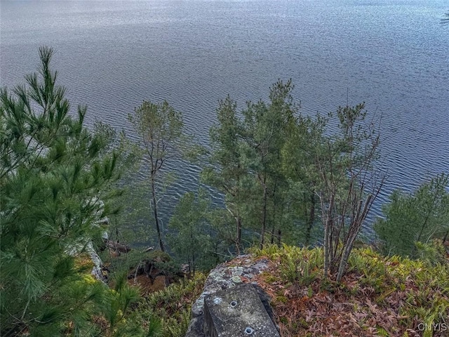 Sweet Point Rd, Theresa, NY 13679