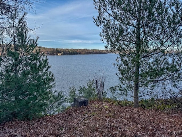 Sweet Point Rd, Theresa, NY 13679