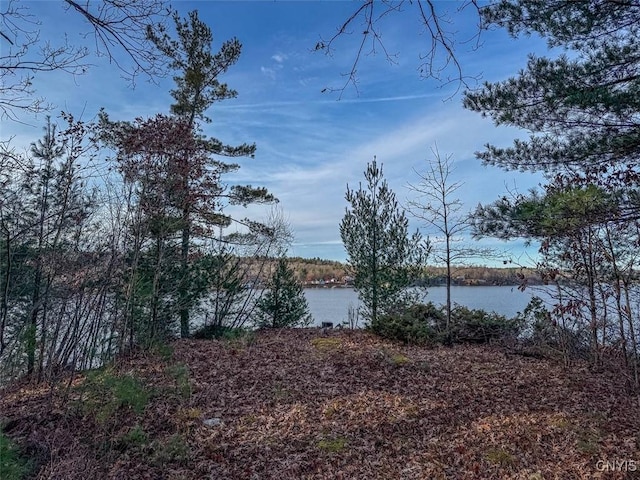 Sweet Point Rd, Theresa, NY 13679
