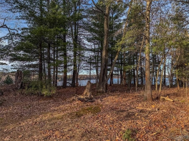 Sweet Point Rd, Theresa, NY 13679
