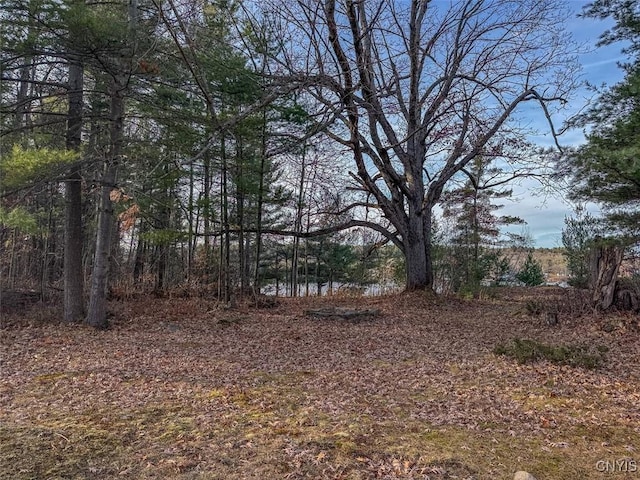 Sweet Point Rd, Theresa, NY 13679