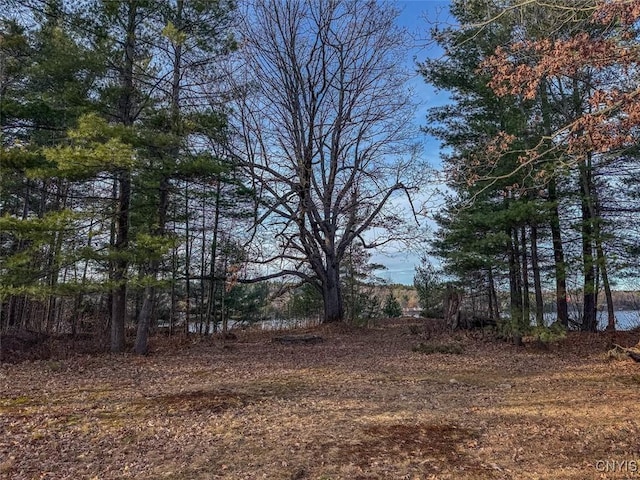 Sweet Point Rd, Theresa, NY 13679