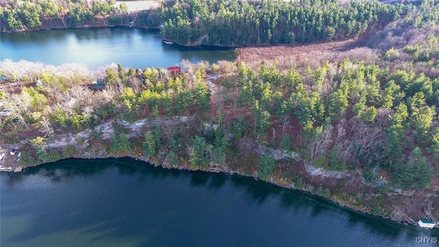 Sweet Point Rd, Theresa, NY 13679