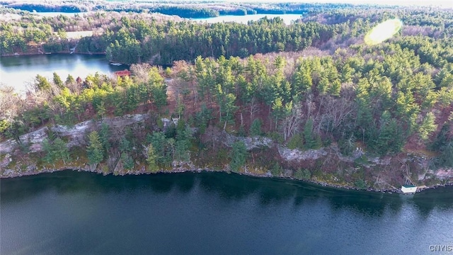 Sweet Point Rd, Theresa, NY 13679