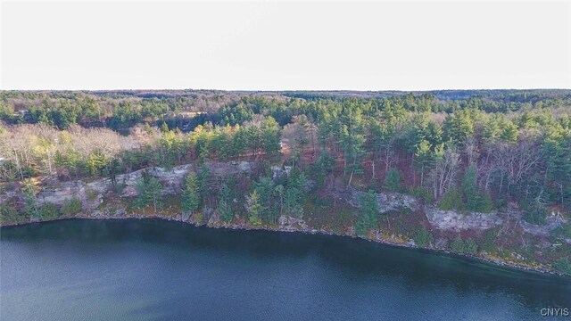 Sweet Point Rd, Theresa, NY 13679