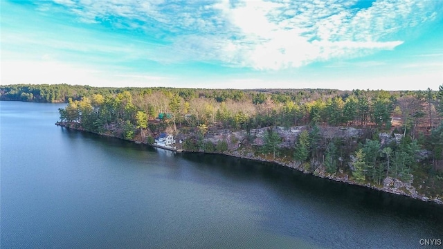 Sweet Point Rd, Theresa, NY 13679