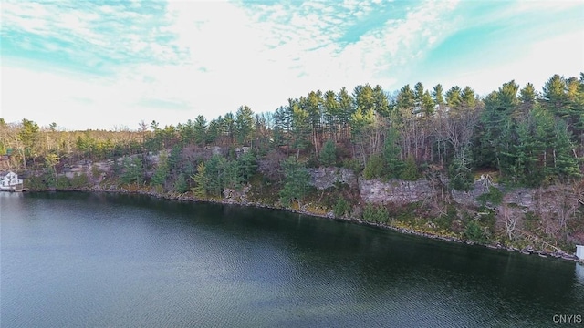 Sweet Point Rd, Theresa, NY 13679