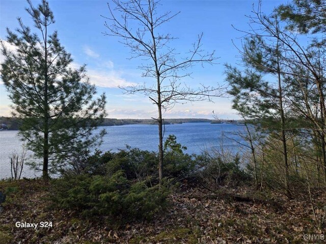 Sweet Point Rd, Theresa, NY 13679