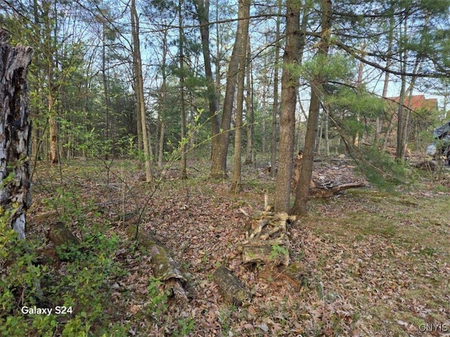 Sweet Point Rd, Theresa, NY 13679