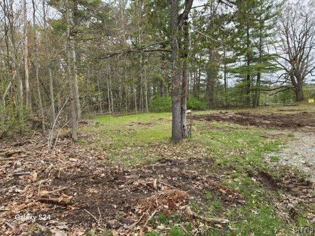 Sweet Point Rd, Theresa, NY 13679