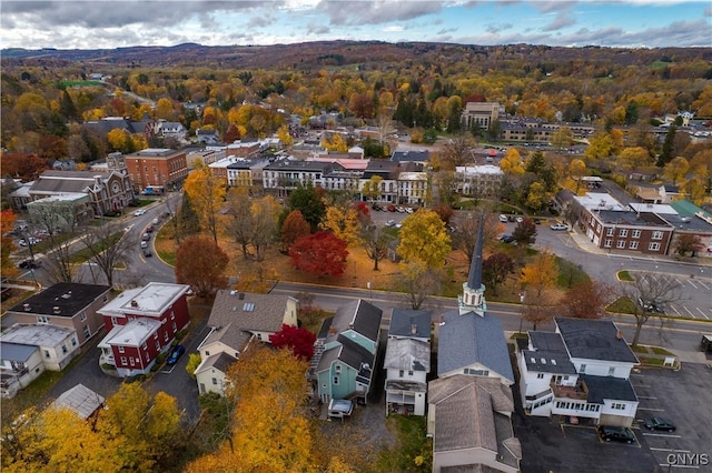 8 E Park, Kirkland, NY 13323 - aerial view of residential area with a heavily wooded area