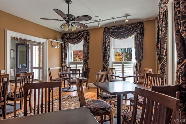 dining space featuring hardwood / wood-style flooring, ceiling fan, and rail lighting