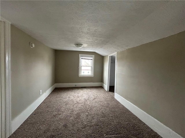19 Jay St, Phelps, NY 14532 - bonus room featuring a textured ceiling, lofted ceiling, and carpet