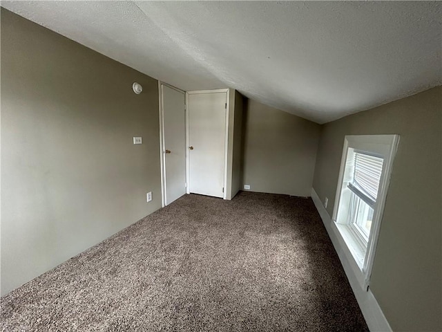 19 Jay St, Phelps, NY 14532 - additional living space featuring dark carpet, a textured ceiling, and vaulted ceiling