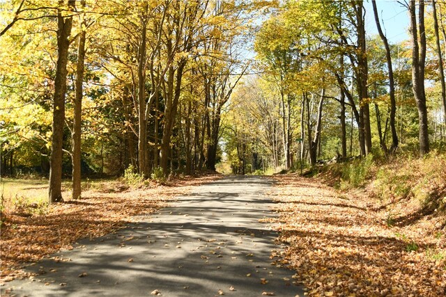 view of road