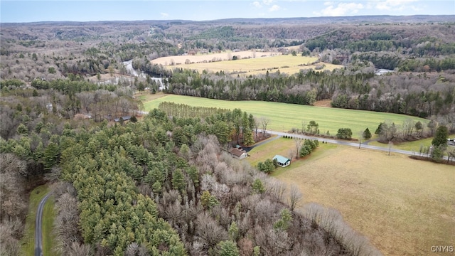 birds eye view of property featuring a rural view