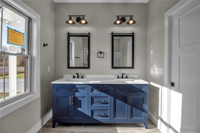 bathroom with vanity and wood-type flooring