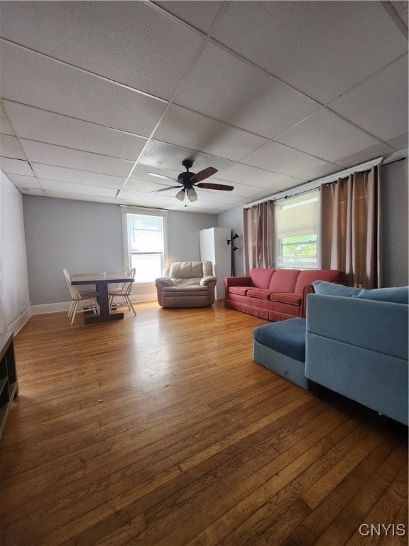 living room featuring a paneled ceiling, hardwood / wood-style flooring, and ceiling fan