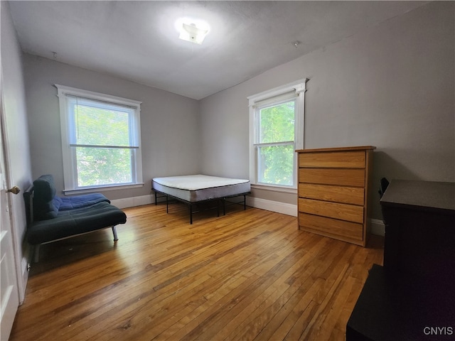 bedroom with wood-type flooring