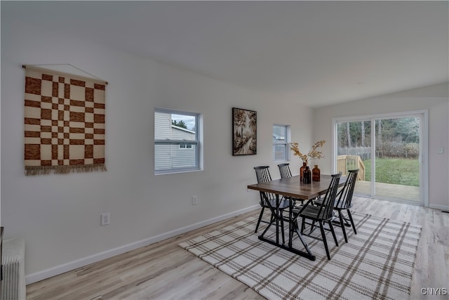 dining space with light hardwood / wood-style floors, radiator, and a healthy amount of sunlight