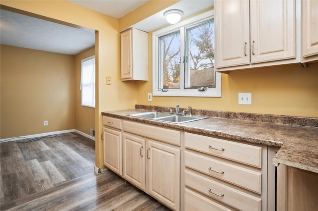 kitchen featuring plenty of natural light, dark hardwood / wood-style flooring, and sink