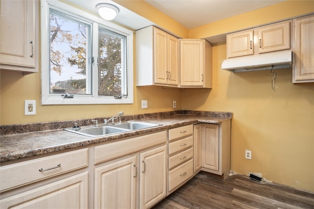 kitchen with dark hardwood / wood-style floors and sink