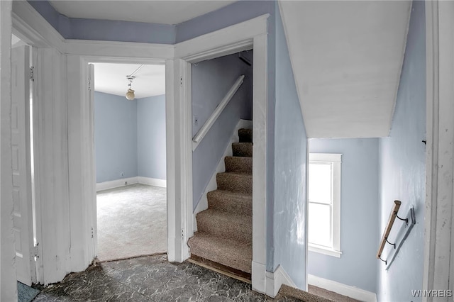 stairs featuring carpet floors