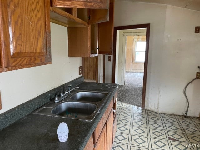 kitchen featuring sink and light carpet