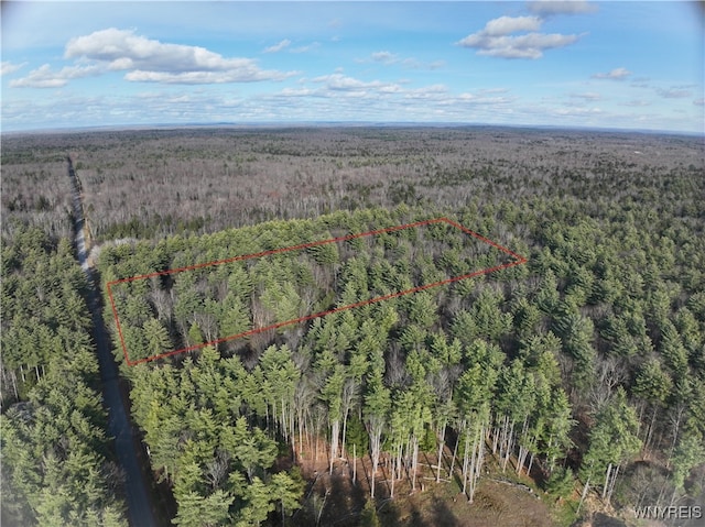 00 Hall Rd, Vienna NY, 13042 land for sale