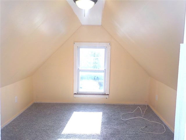 additional living space with carpet and lofted ceiling